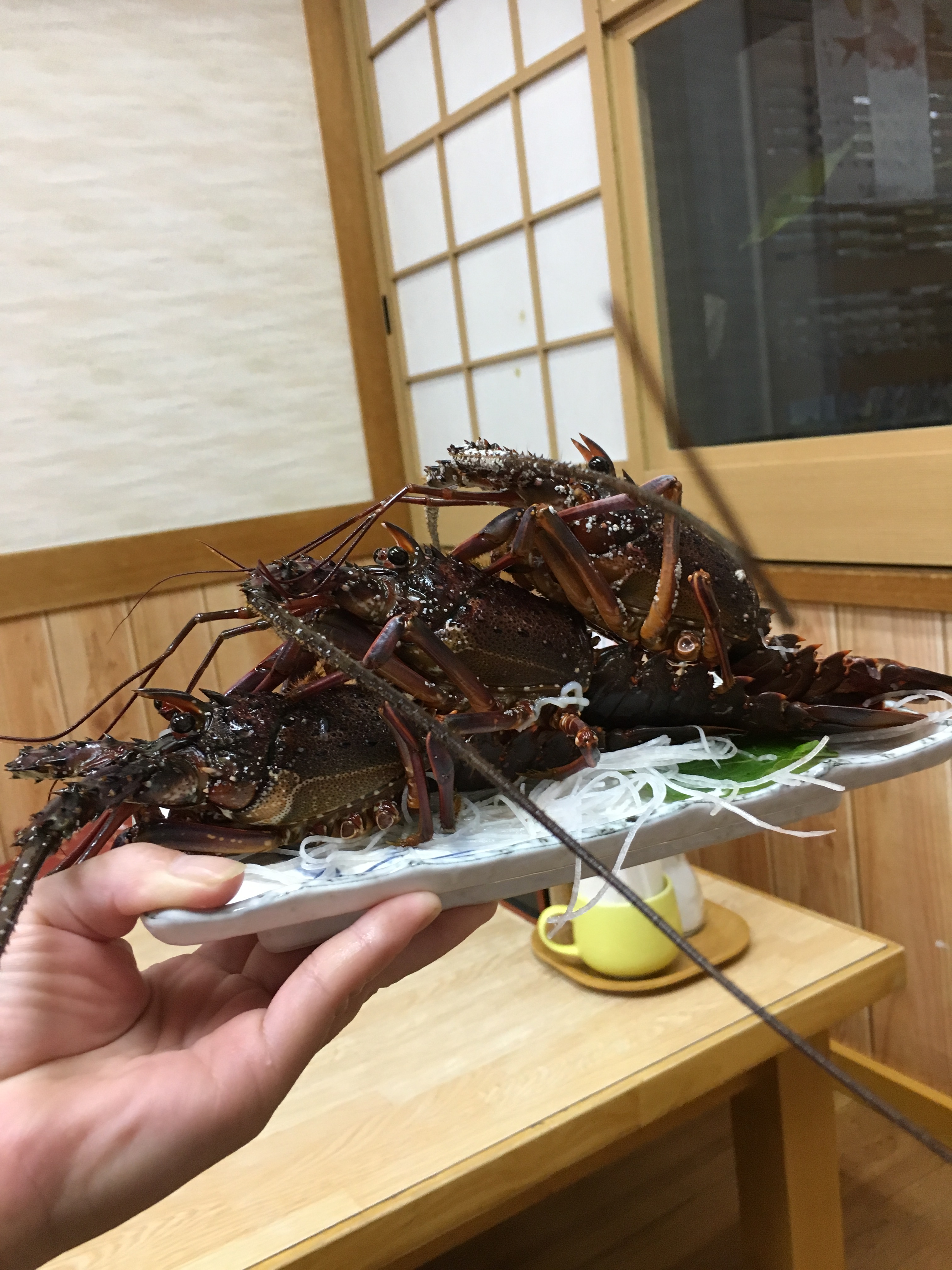 初島ツアー♪