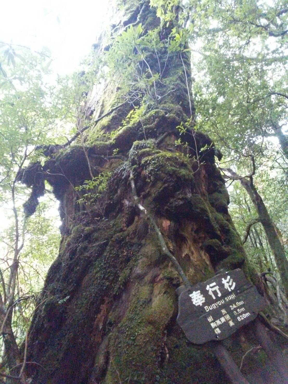 薩南ツアー四日目♪
