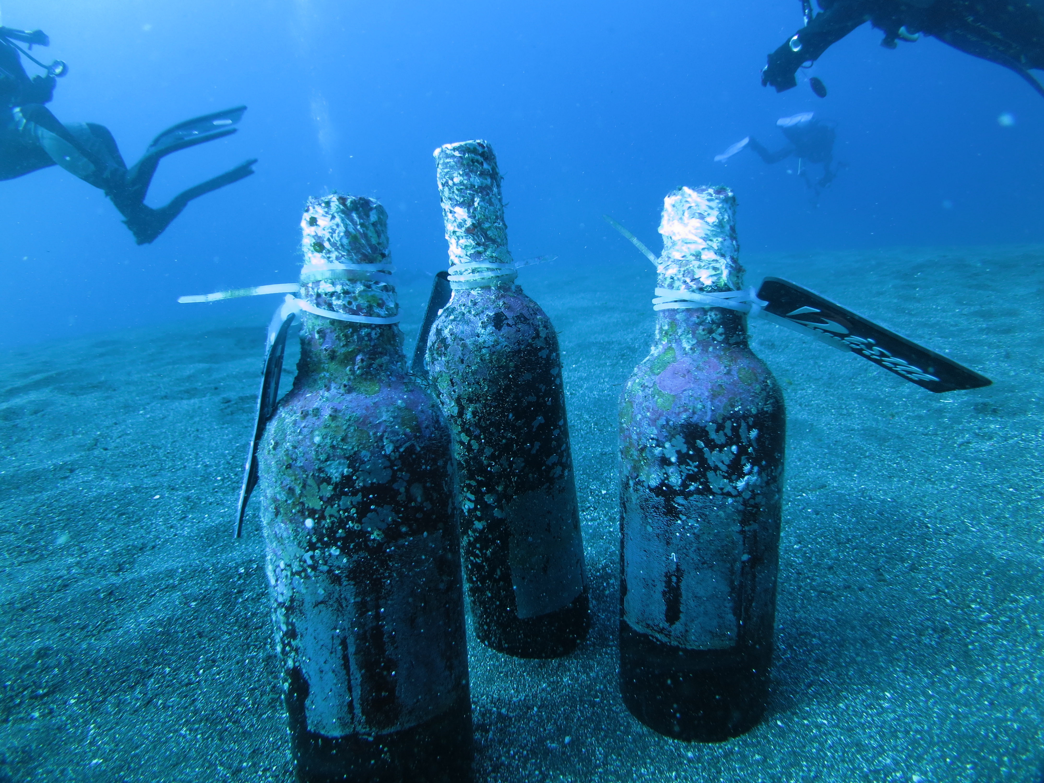 大島「海底貯蔵酒」ツアー♪