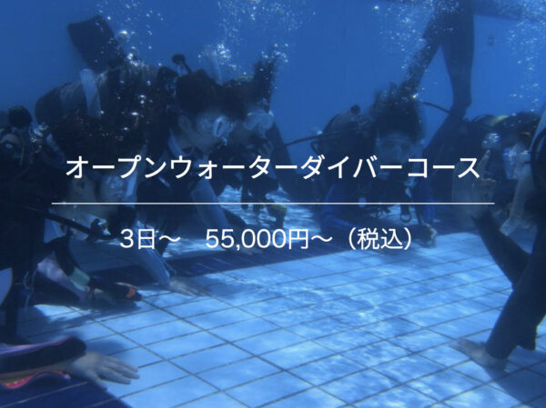 サンドウェーブの最新写真