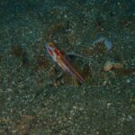 11/29土-30日　1泊グルメツアー♪