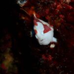 12/20土.21日のログ♪