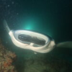 モルディブクルーズスタート！