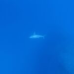 与那国ツアーDAY3！