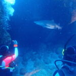 3/2引き続き小笠原にて〜！