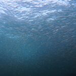 GWからの海〜